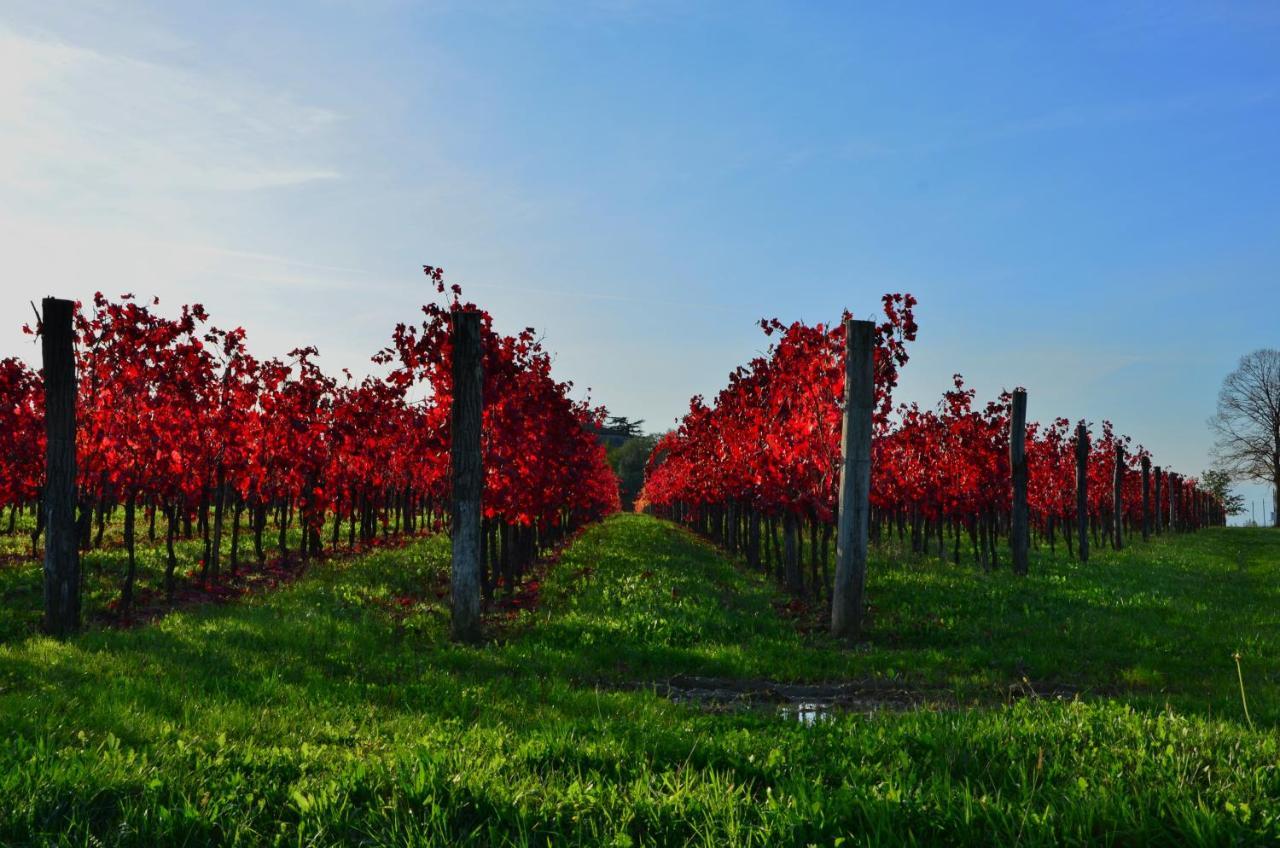 Alloggio Agrituristico Corte San Biagio Corno di Rosazzo Ngoại thất bức ảnh