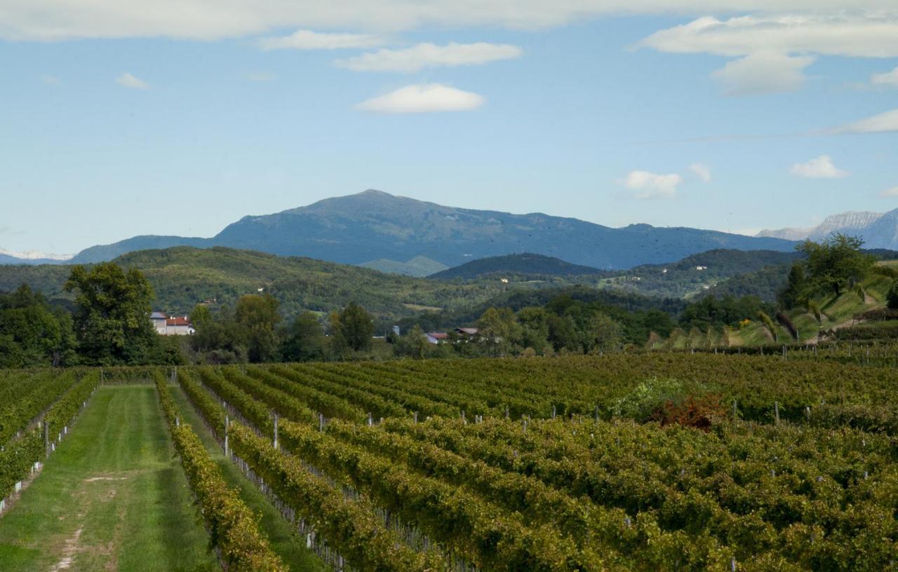 Alloggio Agrituristico Corte San Biagio Corno di Rosazzo Ngoại thất bức ảnh