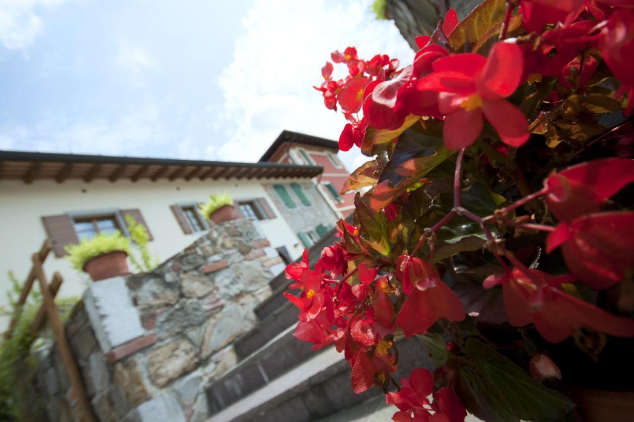 Alloggio Agrituristico Corte San Biagio Corno di Rosazzo Ngoại thất bức ảnh