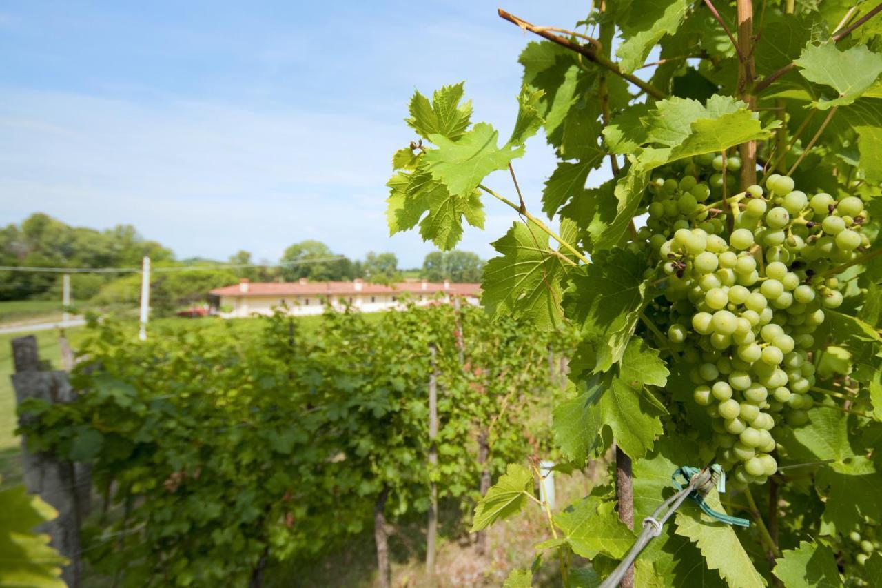 Alloggio Agrituristico Corte San Biagio Corno di Rosazzo Ngoại thất bức ảnh