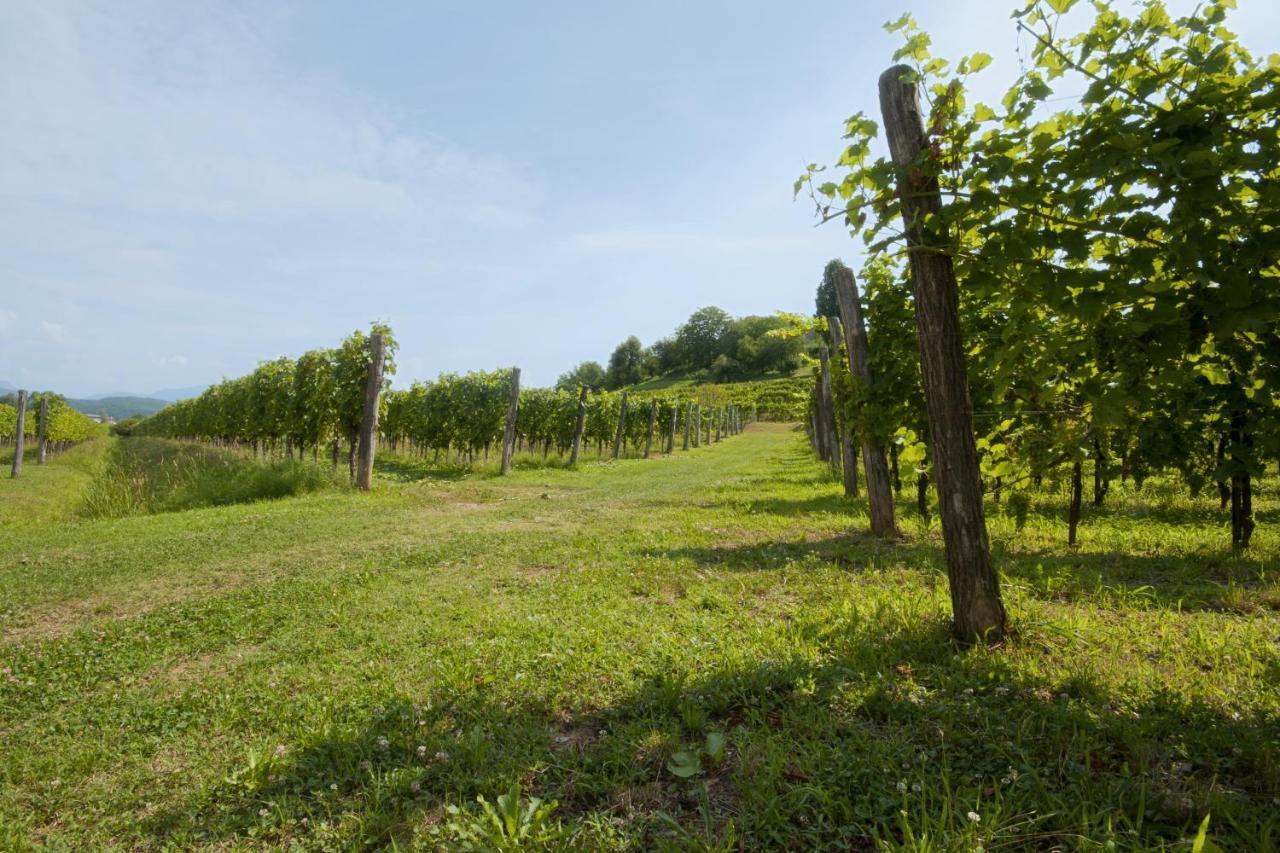 Alloggio Agrituristico Corte San Biagio Corno di Rosazzo Ngoại thất bức ảnh