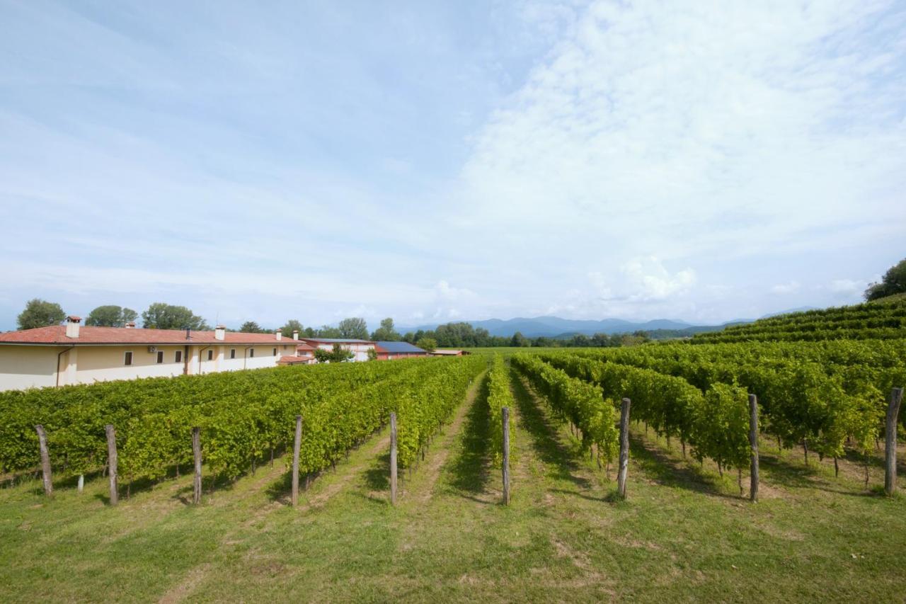 Alloggio Agrituristico Corte San Biagio Corno di Rosazzo Ngoại thất bức ảnh